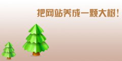 有利于网站收录的方法有哪些?