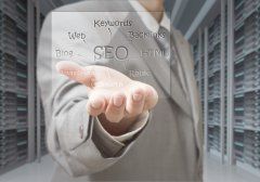 SEO优化的类别与窍门有哪些？