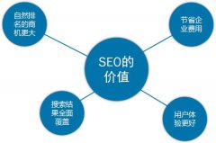 针对seo优化新手网站优化失败的因素解析