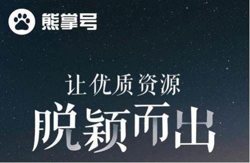 百度熊掌号的原创保护作用有哪些?