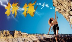IT行业资深seo分析师讲述他的职业生涯