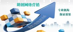 朗创网络营销 实力见证卓越