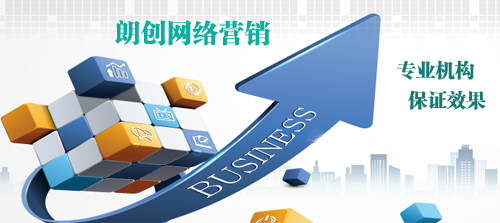 朗创网络营销 实力见证卓越
