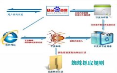 怎样吸引蜘蛛抓取提供网站收录和流量