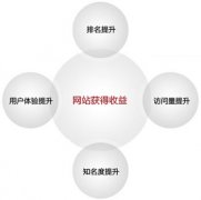 论域名与网站排名之间的关系