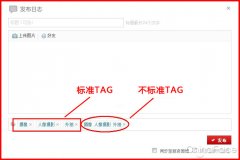 Tag标签的作用以及使用时注意事项
