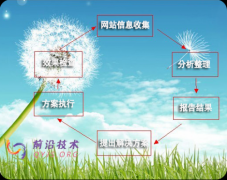 盘点seo搜索引擎优化的五点不健康风气
