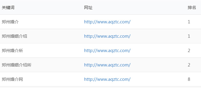 关键词排名优化案例