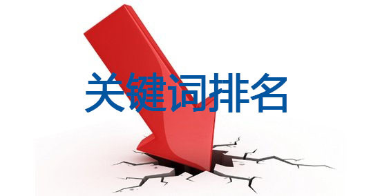 seo优化